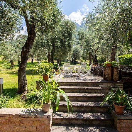 Villa Diana - Terrazza Sul Lago アセンサ・ディ・ブレンソーレ エクステリア 写真